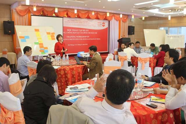 Communications on domestic violence prevention strengthened  - ảnh 1
